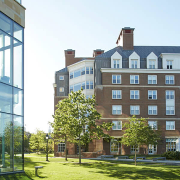 SELPI_Desktop_1349x474